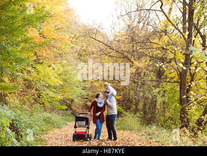 Beautiful young family on a walk in autumn forest. Stock Photo