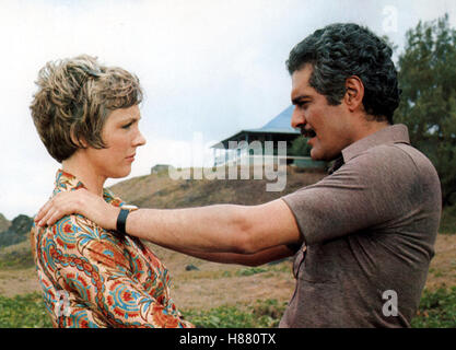 Die Frucht des Tropenbaumes, (THE TAMARIND SEED) GB 1974, Regie: Blake Edwards, JULIE ANDREWS, OMAR SHARIF Stock Photo