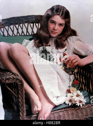 Pretty Baby; (PRETTY BABY) USA 1977, Regie: Louis Malle, BROOKE SHIELDS, Stichwort: Lolita, Kindfrau Stock Photo