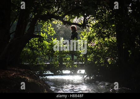 A walker crosses a bridge over a stream in Sutton Park, Sutton Coldfield, West Midlands, England. Stock Photo