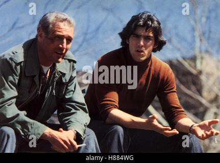 The Bronx, (FORT APACHE - THE BRONX) USA 1981, Regie: Daniel Petrie, PAUL NEWMAN, KEN WAHL Stock Photo