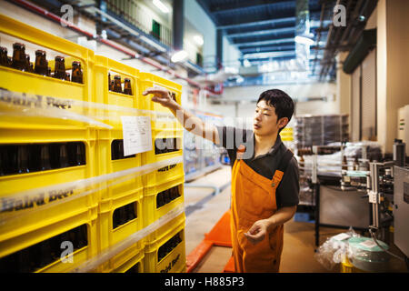 Worker labelling yellow plastic crates with beer bottles in a brewery. Stock Photo