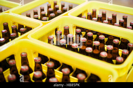 Yellow plastic crates with beer bottles in a brewery. Stock Photo