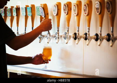 Man pulling a glass of beer from a tasting bar in a brewery. Stock Photo