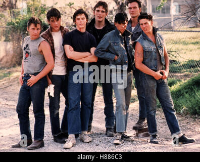 Die Outsider, (THE OUTSIDERS) USA 1982, Regie: Francis Ford Coppola, EMILIO ESTEVEZ, ROB LOWE, C. THOMAS HOWELL, MATT DILLON, RALPH MACCHIO, PATRICK SWAYZE, TOM CRUISE Stock Photo