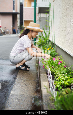 Family home. A woman crouching and planting flowers in a small strip of soil. Stock Photo
