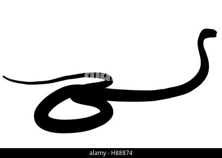 King Cobra Illustration Stock Photo