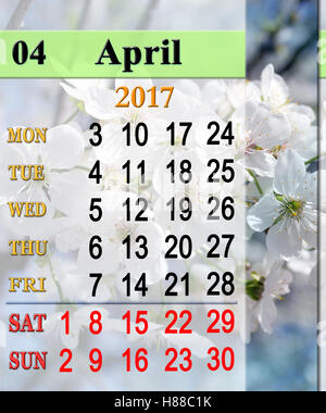 calendar for May 2017 with ribbon of blooming cherry tree flowers Stock Photo