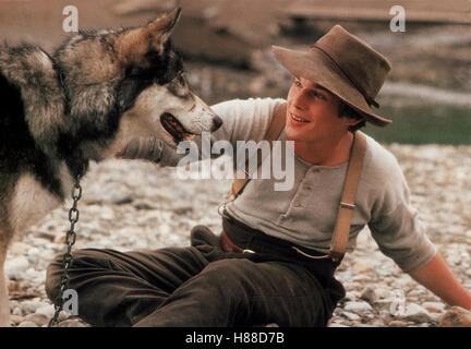 Wolfsblut, (WHITE FANG) USA 1990, Regie: Randal Kleiser, ETHAN HAWKE, Stichwort: Hund, Huskie Stock Photo