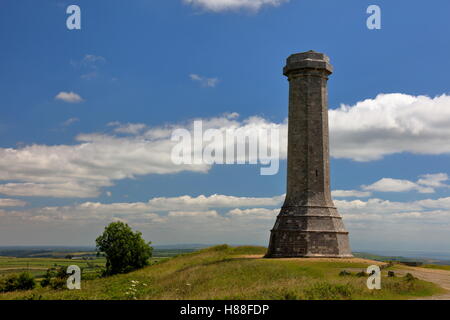 Hardy's Monument towering high on Blackdown Hill with dramatic sky and cloudscape after painstaking refurbishment and cleaning Stock Photo