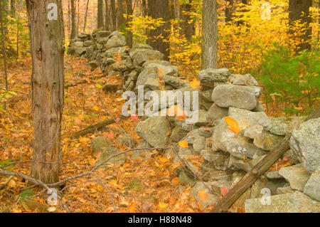 Rockwall, Robert Frost Farm State Historic Site, New Hampshire Stock Photo