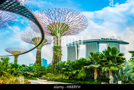 Supertree Grove with skyway in the Gardens by the Bay futuristic municipal park, designed by Wilkinson Eyre Architects, and Stock Photo