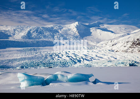 Ice formations in the Fjallsárlón Glacier Lagoon, glacial lake in winter, Iceland Stock Photo