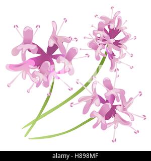 Pink Flowers isolated on white background. isolated Stock Vector
