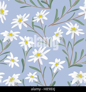 Seamless pattern with edelweiss flowers. Vector illustration. Stock Vector