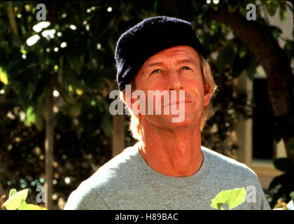 Beinahe ein Engel, (ALMOST AN ANGEL), USA 1990, Regie: John Cornell, PAUL HOGAN Stock Photo