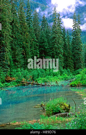 The Blue Lagoon at Fish Creek, Tongass National Forest, Hyder, Alaska, USA Stock Photo