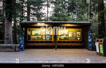 Christmas Decorations at The Plaza Stop in Center Parcs Longleat Forest Stock Photo