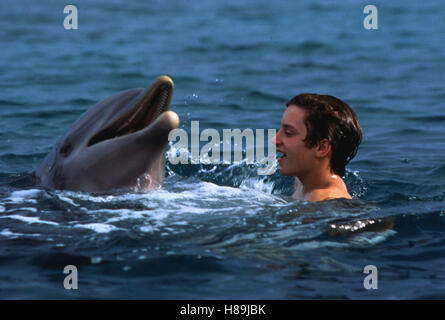 Flipper, (FLIPPER) USA 1996, Regie: Alan Shapiro, ELIJAH WOOD, Stichwort: Meer, Wasser, Delphin Stock Photo