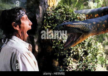 Anaconda, (ANACONDA) USA 1997, Regie: Luis Llosa, VINCENT CASTELLANOS, Stichwort: Schlange, Schreck Stock Photo