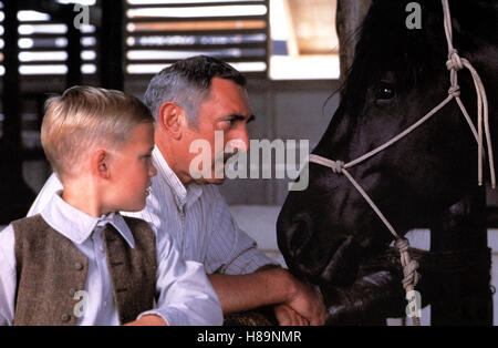 Luckys große Abenteuer, (RUNNING FREE) USA 1999, Regie: Sergei Bodrow, CHASE MOORE, JAN DECLEIR + LUCKY, Key: Pferd, Rappe Stock Photo