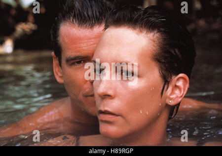 Der Schneider von Panama, (THE TAILOR OF PANAMA) USA-IRL 2001, Regie: John Boorman, PIERCE BROSNAN, JAMIE LEE CURTIS, Stichwort: Schwimmen, Wasser Stock Photo