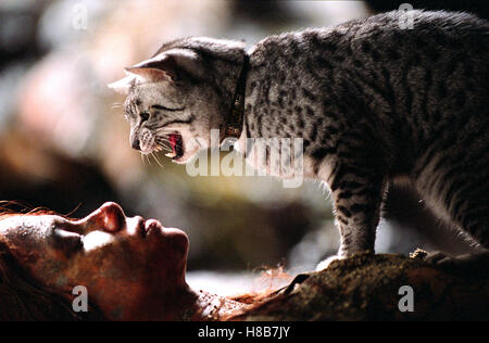 Catwoman, (CATWOMAN) USA 2004, Regie: Pitof, HALLE BERRY, Key: Katze Stock Photo