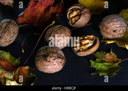 walnuts and colorful autumn maple leaves on a black background Stock Photo