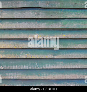 square part of shed wall consisting of old horizontal wooden planks with faded green paint and yellow moss Stock Photo
