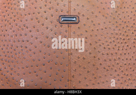 Real ostrich leather pattern background Stock Photo - Alamy