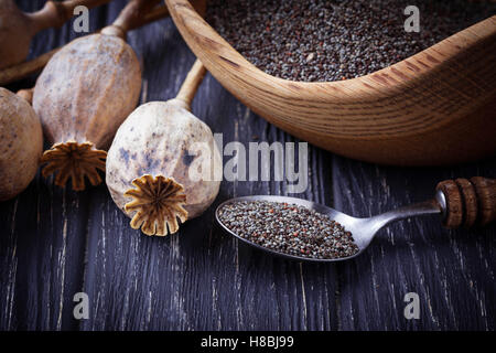 Poppy seeds and heads on wooden background. Selective focus Stock Photo