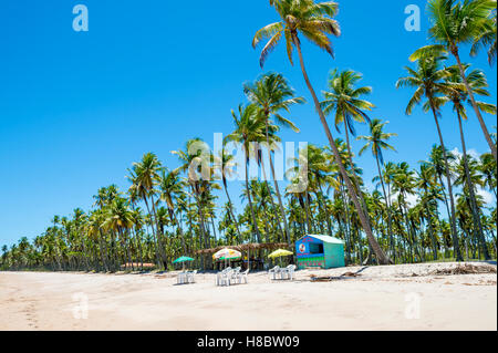BAHIA, BRAZIL - FEBRUARY 11, 2016: Brazilian beachs shack selling tropical drinks stands ready for customers under tall palms. Stock Photo