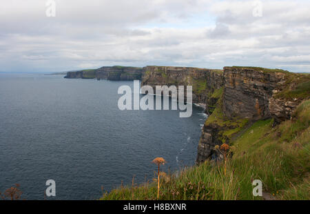 South view The magnificent Cliffs of Moher, Co Clare in West of Ireland standing 700 feet high stretching for approx 5 miles. Stock Photo