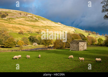 Autumnal afternoon light in Swaledale in the Yorkshire Dales, North Yorkshire England UK Stock Photo