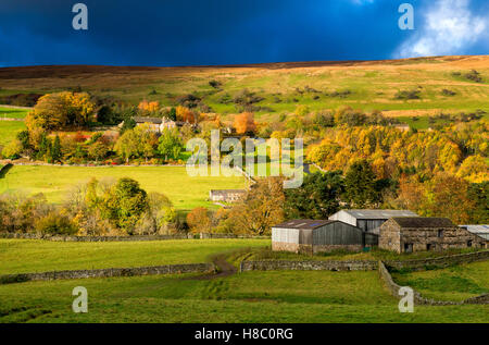 Autumnal afternoon light in Swaledale in the Yorkshire Dales, North Yorkshire England UK Stock Photo