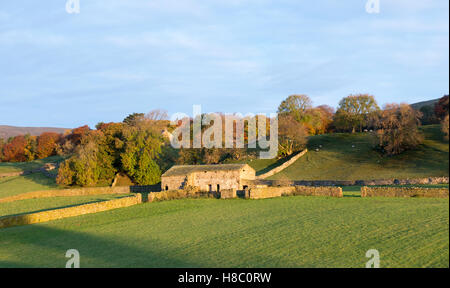 Morning Light in the Yorkshire Dales, North Yorkshire England UK Stock Photo