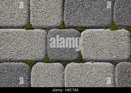 Industrial building background of paving slabs with overgrown with moss in the cracks. Texturing background. Stock Photo