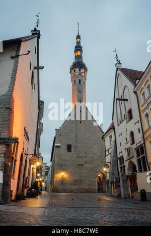 Tallinn town hall or Tallinna raekoda Stock Photo