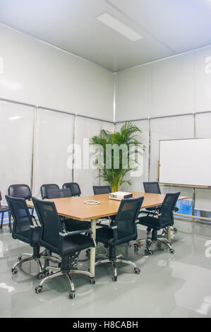 meeting room, a green plant in it. Stock Photo