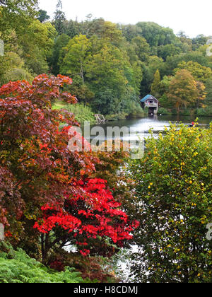 changing colours of autumn Stock Photo