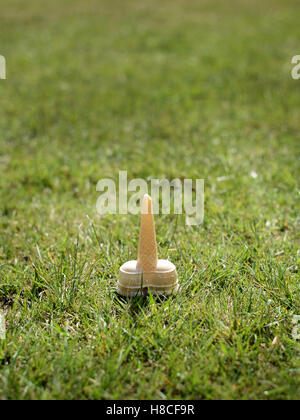 child dropped ice cream cone in grass on a hot summers day Stock Photo