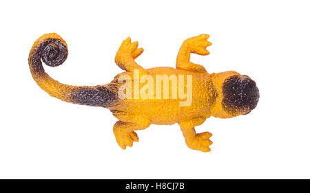 toy chameleon top view isolated on white background Stock Photo