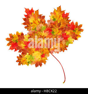 Autumn leaf shape made up of smaller autumn leaves on a white background Stock Photo
