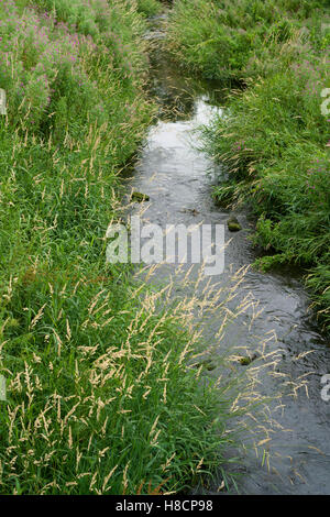 Coldstream, Berwickshire, Scotland on the English border - the River Leet, a stream joining the Tweed, in summer. Stock Photo