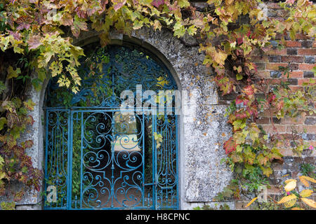 Walled garden blue wrought iron gate and grape leaves in autumn at Rousham House and Garden. Oxfordshire, England Stock Photo