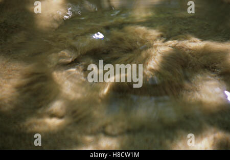 Muddy spring waters Stock Photo