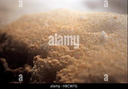 Close up of snow mixed with sand Stock Photo
