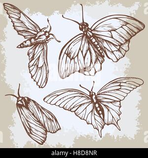 Vintage beige background with butterflies. Elegant elements for design, can be used wallpaper, decoration bags clothes. Hand dra Stock Vector