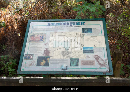 Sherwood Forest Visitor Centre, Nottinghamshire Stock Photo