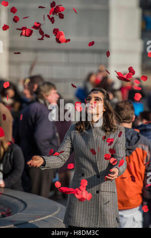London, UK. 11th November, 2016. Laura Wright throws poppies in the fountain - Silence in the Square oraganised by the British Legion in Trafalgar Square - 11 November 2016, London. Credit:  Guy Bell/Alamy Live News Stock Photo